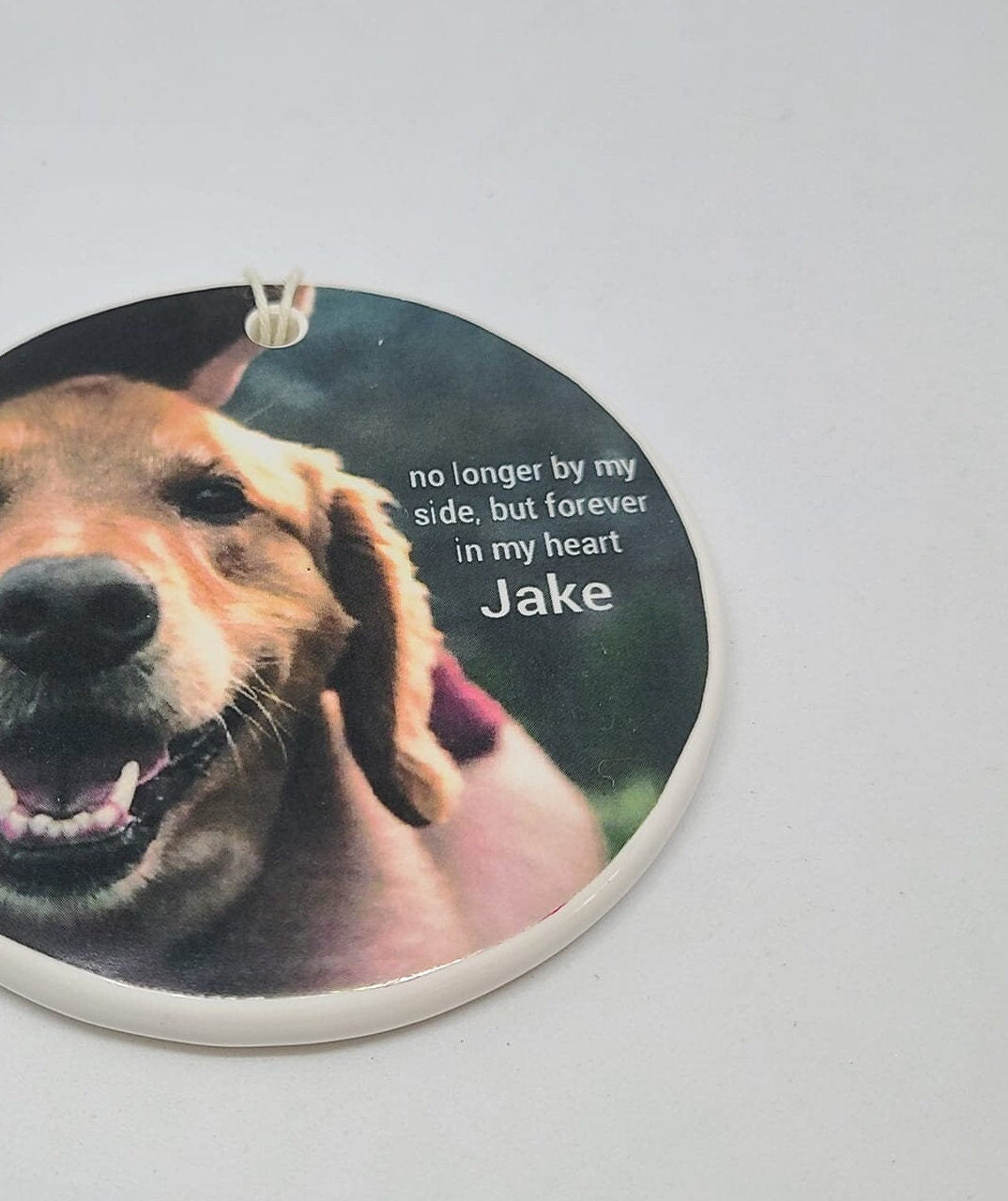 Pet Memorial Ornament, Sympathy Gift, Dog, Cat - no longer by my side but forever in my heart...