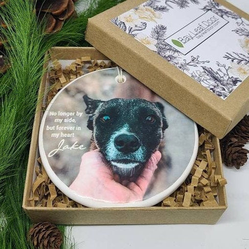 Pet Memorial Ornament, Sympathy Gift, Dog, Cat - no longer by my side but forever in my heart...