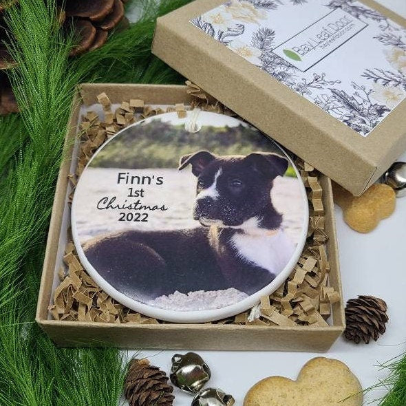 Personalized Dog Ornament, Cat, Rescue, Pet, Reptile, Photo Ornament, Cat Ornament, Dog Ornament, Kitten, Puppy - your photo and pet's name