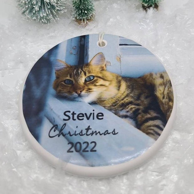 Personalized Dog Ornament, Cat, Rescue, Pet, Reptile, Photo Ornament, Cat Ornament, Dog Ornament, Kitten, Puppy - your photo and pet's name