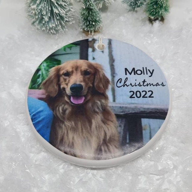 Personalized Dog Ornament, Cat, Rescue, Pet, Reptile, Photo Ornament, Cat Ornament, Dog Ornament, Kitten, Puppy - your photo and pet's name