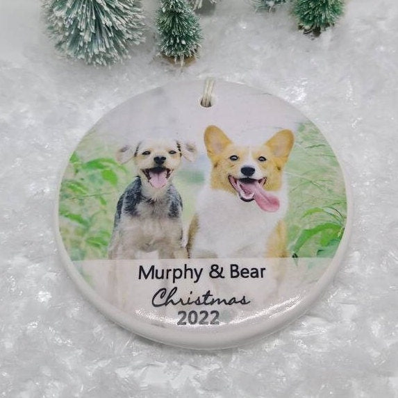 Personalized Dog Ornament, Cat, Rescue, Pet, Reptile, Photo Ornament, Cat Ornament, Dog Ornament, Kitten, Puppy - your photo and pet's name