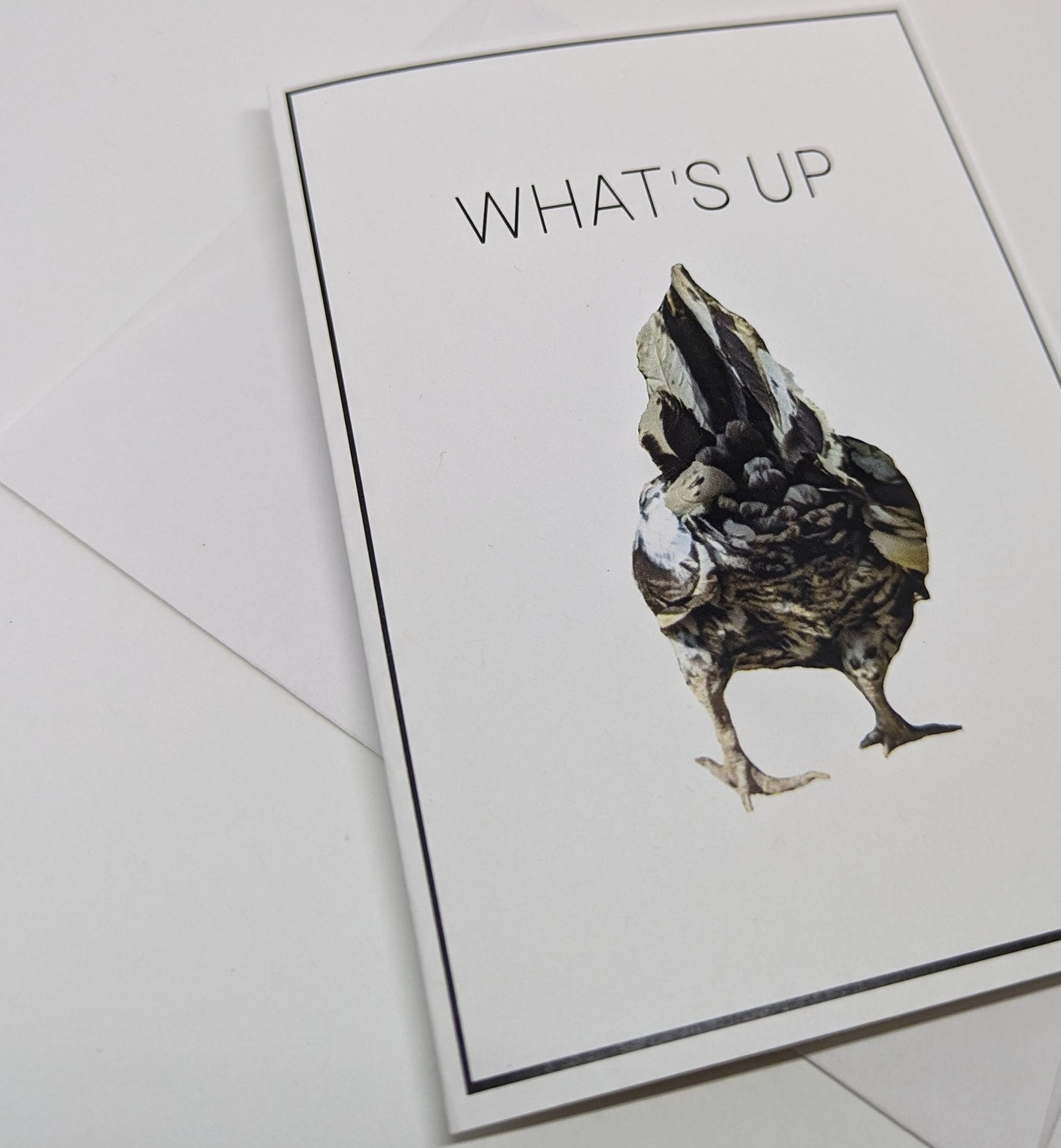 What's Up Chicken Butt Card - featuring Baldy our rescue chicken